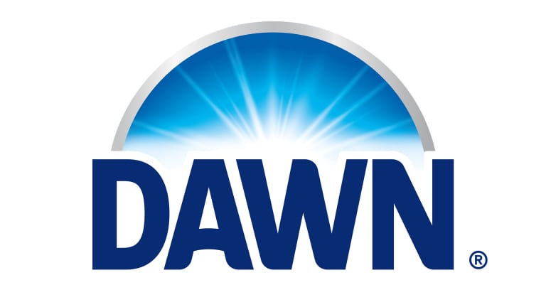 Dawn partner logo 1920x1080