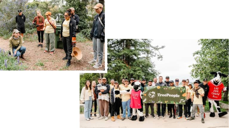 Tree people event combo