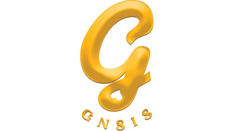 Gensis small biz sat 2024