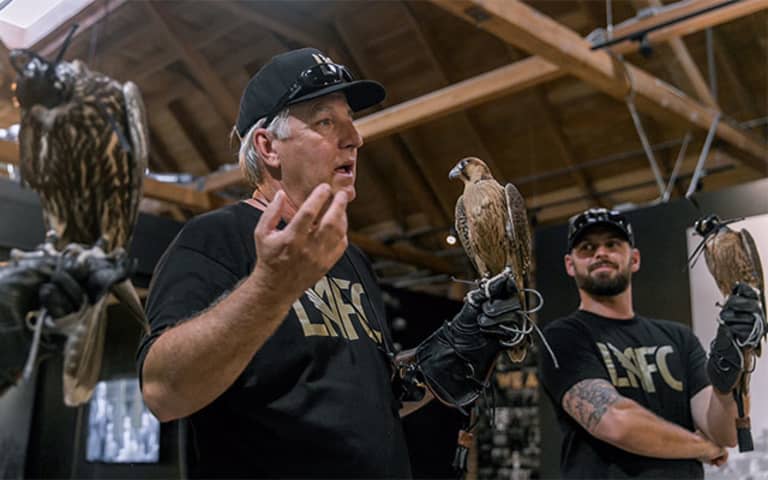 LAFC Falcons - https://la-mp7static.mlsdigital.net/elfinderimages/Photos/Falcon/F4.jpg