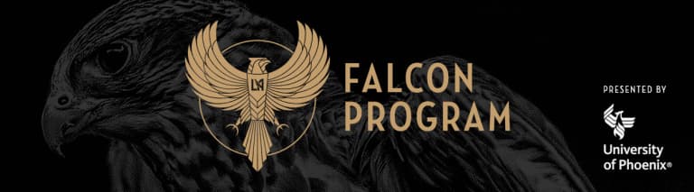 LAFC Falcons -