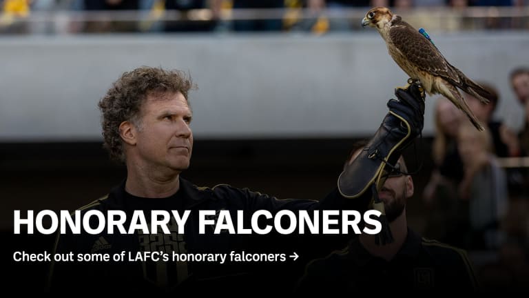 matchdayfalconers_1920x1080